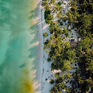 https://hotel-cielo-y-selva.allrivieramayahotels.com